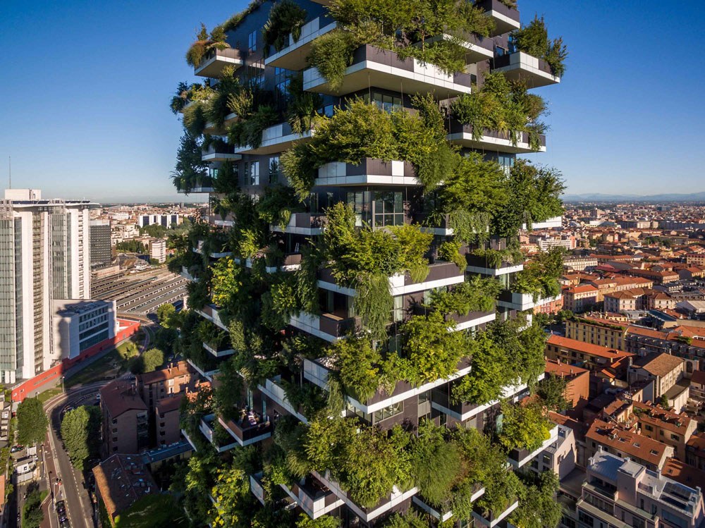 veticalforest.jpg