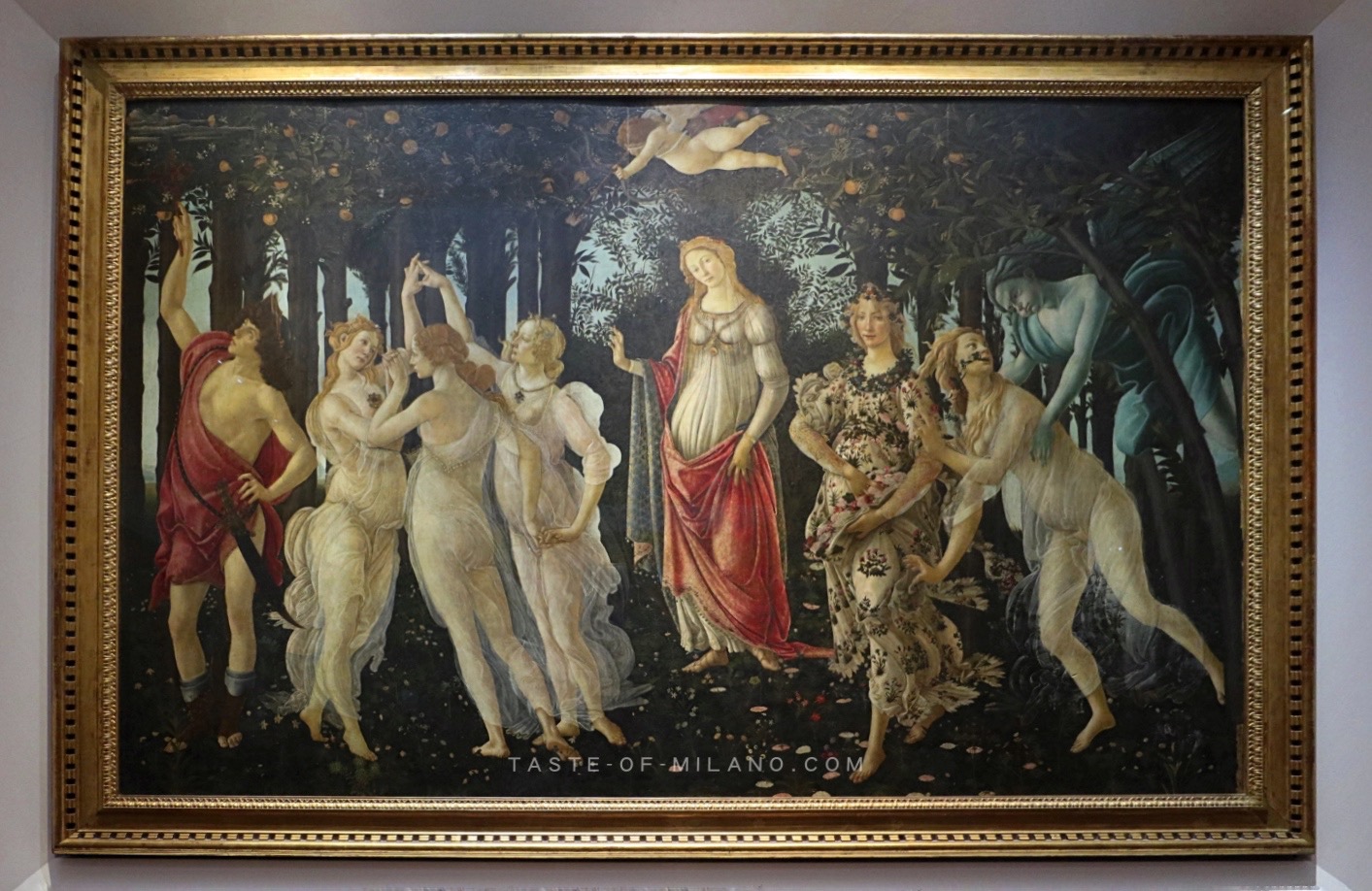 batch_IMG_4863 2.jpg