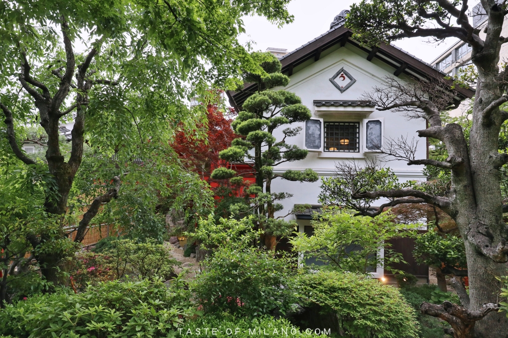 batch_3382-3-4661392922874938178_IMG_3918