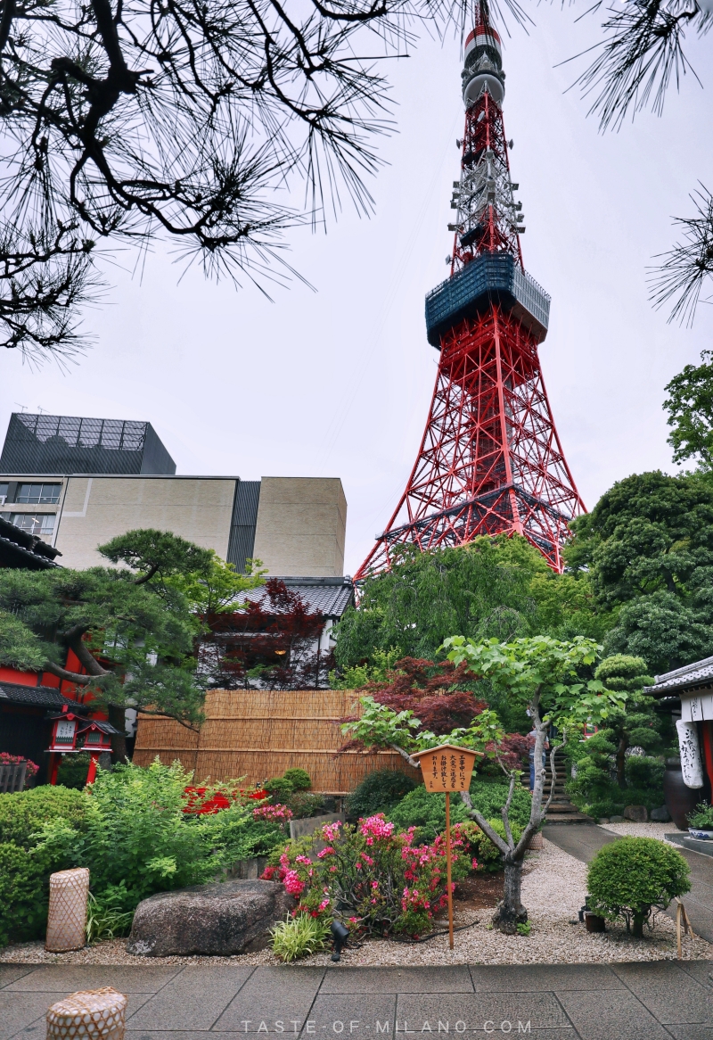 batch_3382-36873885640868333313_IMG_3903